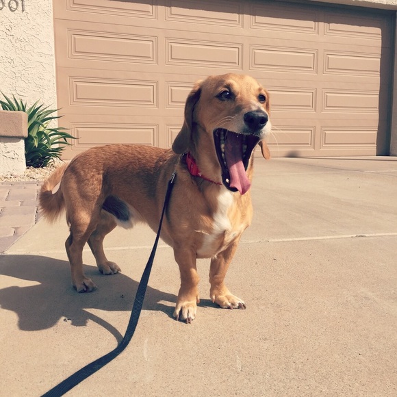 Meet your Posher, Chris - Picture 6 of 7